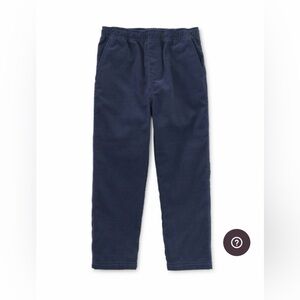 Tea Collection Gray Corduroy Kids Jeans